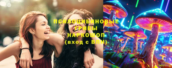 мяу мяу мука Баксан
